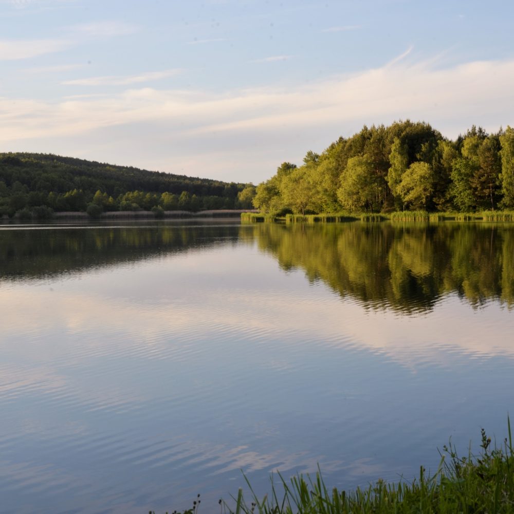 Kustánszegi tó 2021