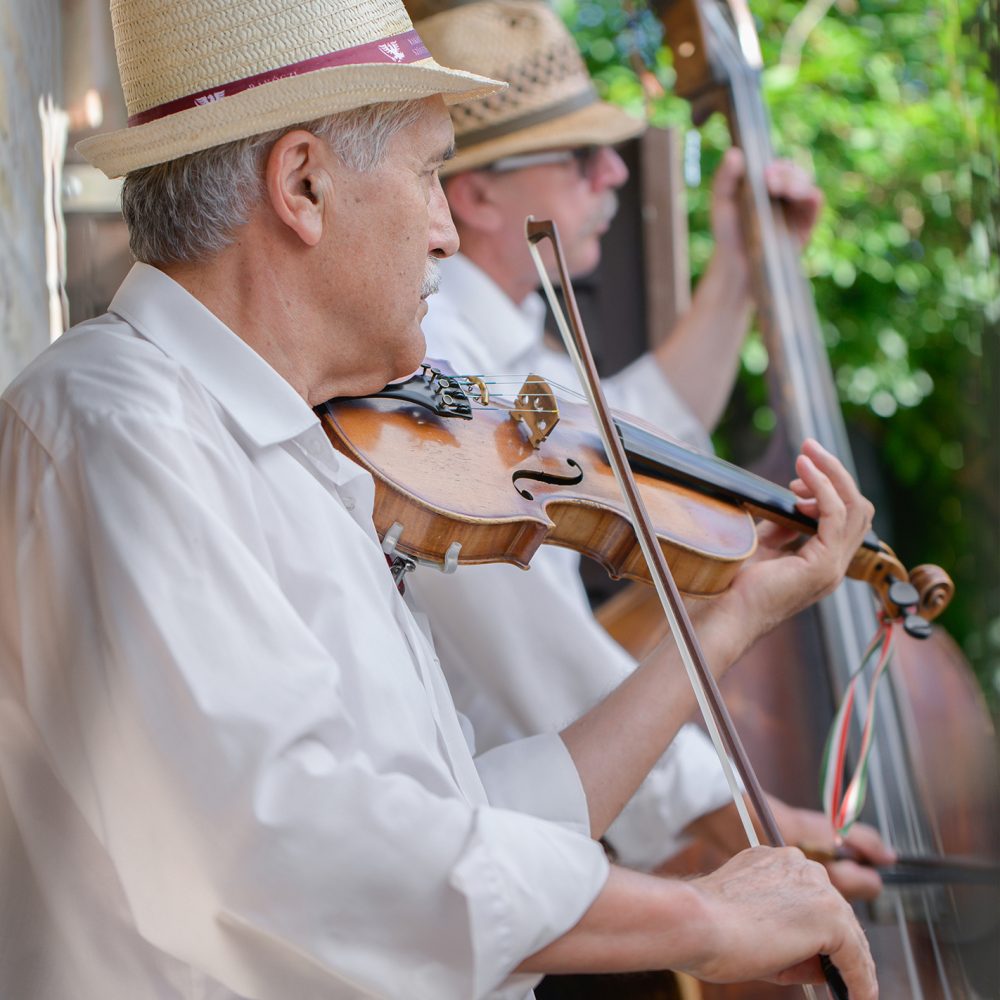 Lakodalmas zenészek